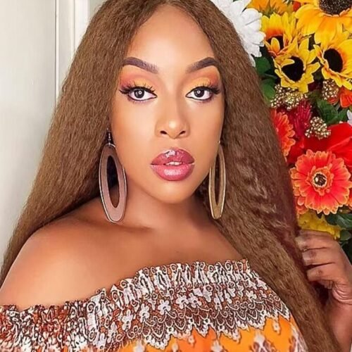 Lace Front Non-Toxic Wig for Women, Soft Brown Blonde, High-Temperature Fiber, 13x2.5 Glueless Versatile Wig